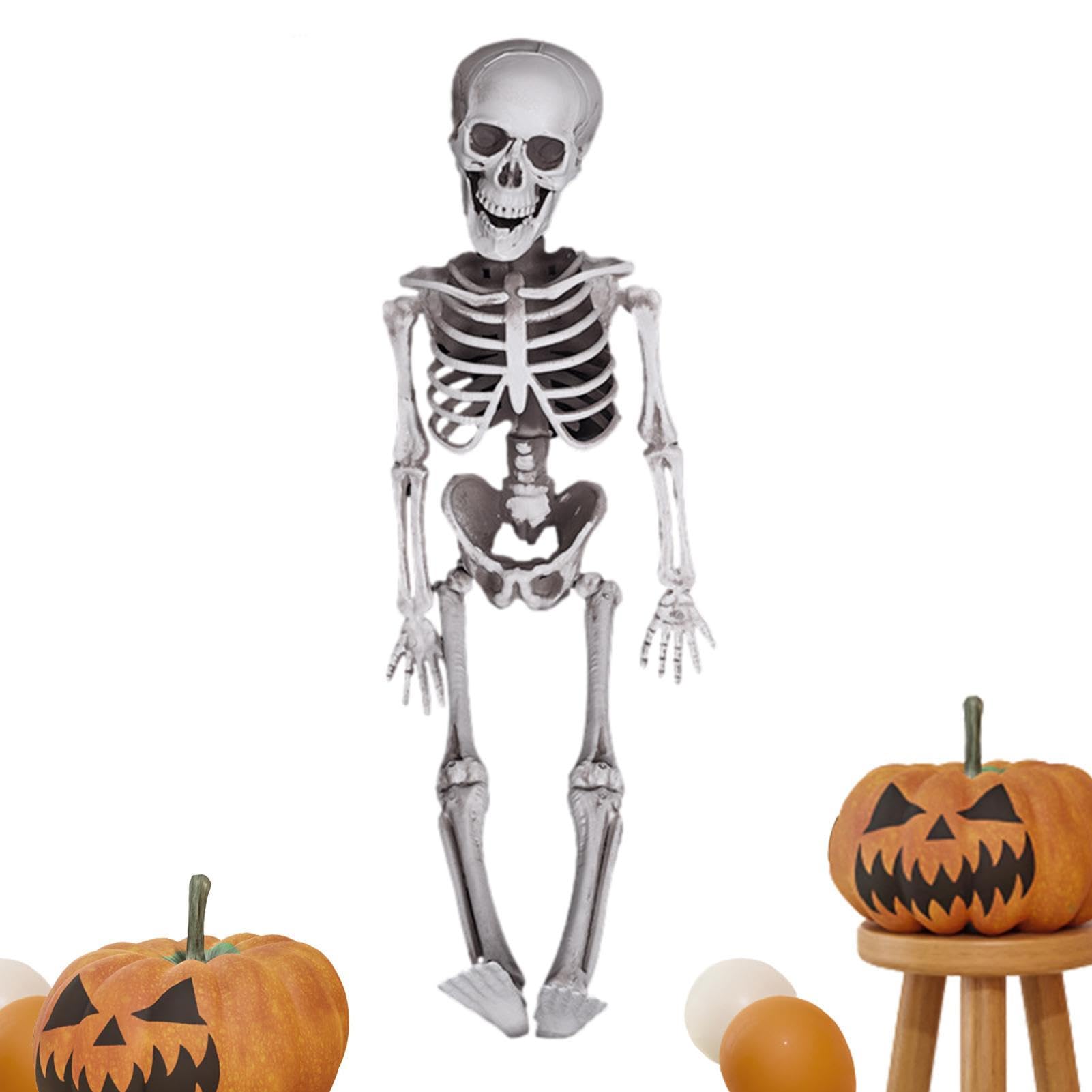 Amazon.co.jp: 全身 ハロウィン スケルトン - 本物そっくりの人体骨